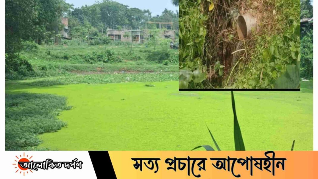 বাজেট পেয়েও থেমে আছে পুকুর সংস্কার, ভোগান্তিতে স্থানীয়রা