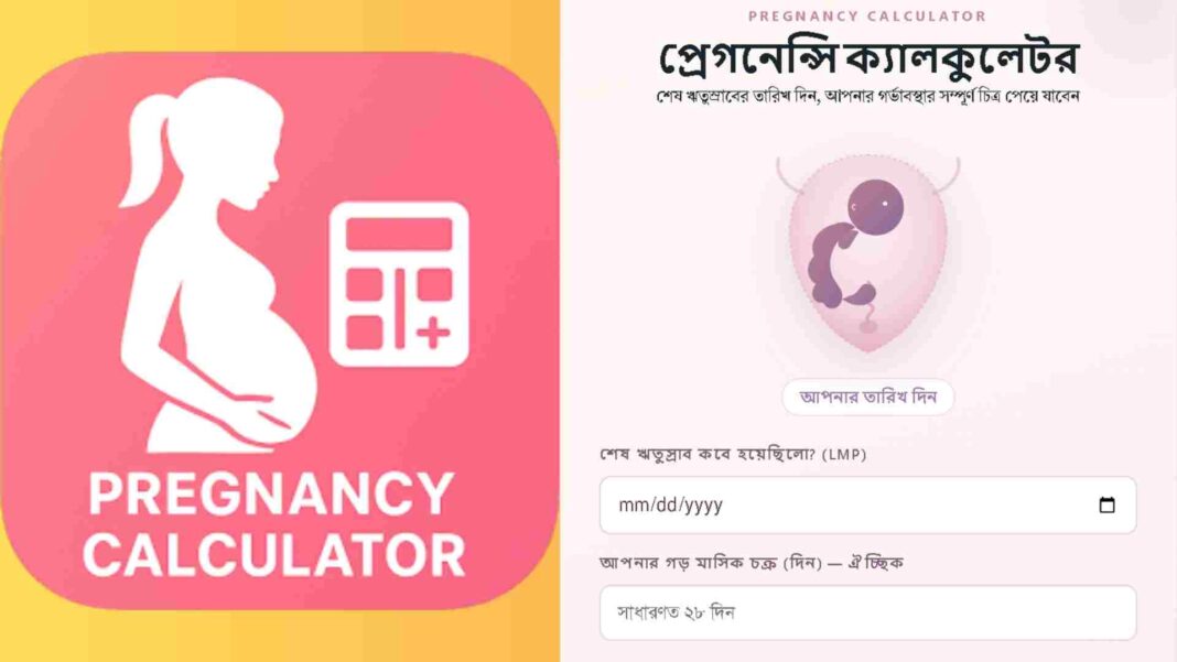 প্রেগনেন্সি ক্যালকুলেটর(Pregnancy Calculator): সহজেই জেনে নিন গর্ভাবস্থার সপ্তাহ, EDD প্রেগনেন্সি ক্যালকুলেটর(Pregnancy Calculator): সহজেই জেনে নিন গর্ভাবস্থার সপ্তাহ, EDD