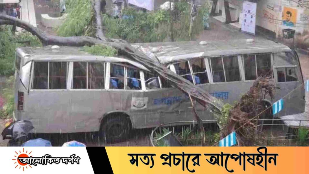 ভারী বর্ষণে জবির বাসের ওপর ভেঙে পড়ল গাছ, অল্পের জন্য বাঁচল শিক্ষার্থীরা