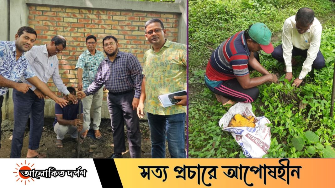 সরকারি ব্রজলাল কলেজে তালবীজ বপন কর্মসূচির উদ্বোধন সরকারি ব্রজলাল কলেজে তালবীজ বপন কর্মসূচির উদ্বোধন