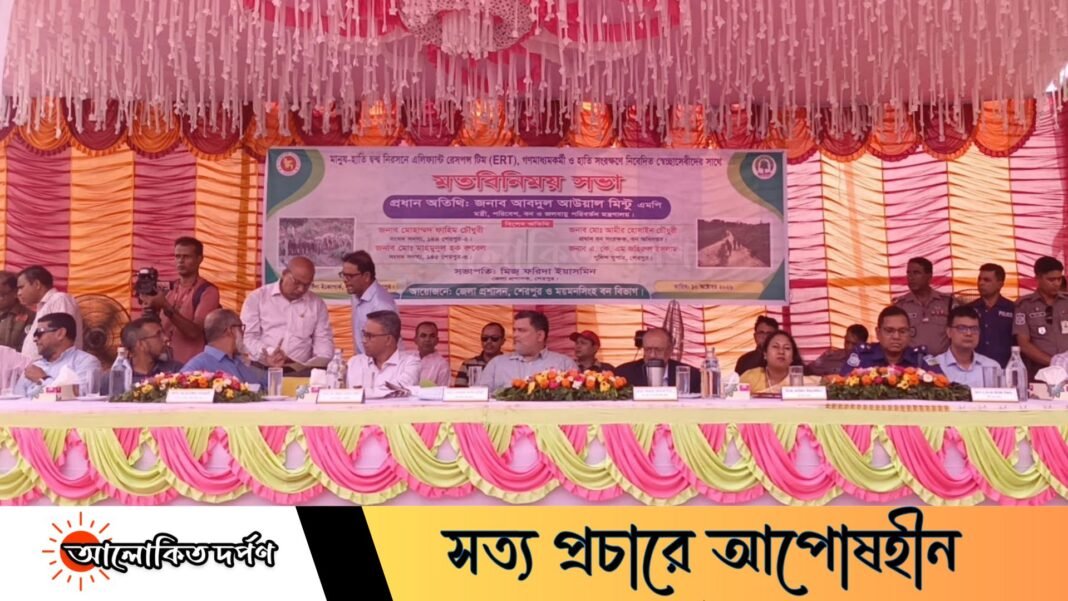 কাঁটাতারে আটকে হাতি, ভারতের সঙ্গে শিগগিরই সংলাপ